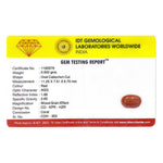 Red Coral - 4.61 Carat - Pramogh