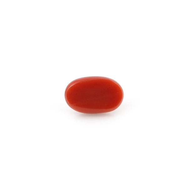 Red Coral - 4.37 Carat