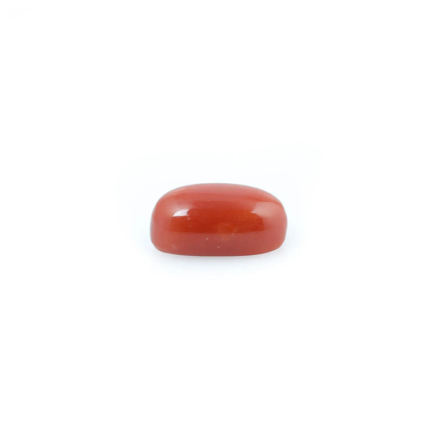 Red Coral - 4.37 Carat - Pramogh