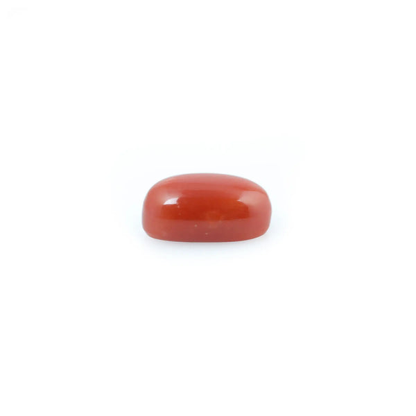 Red Coral - 4.37 Carat