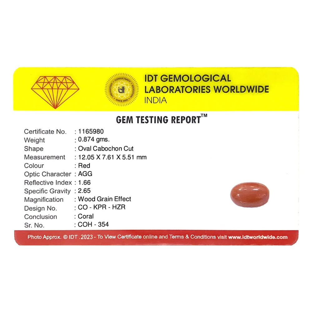 Red Coral - 4.37 Carat - Pramogh