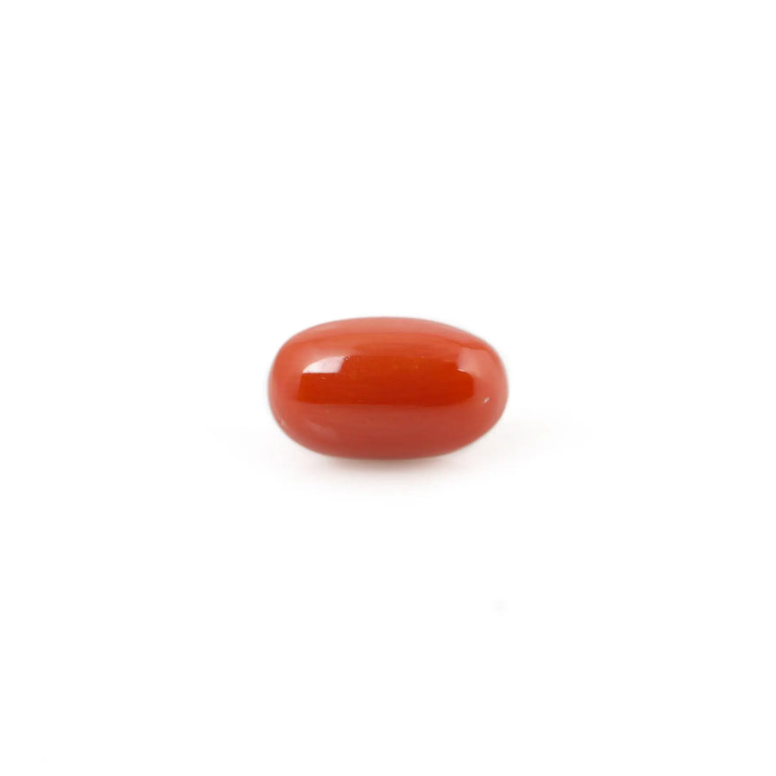 Red Coral - 4.07 Carat - Pramogh