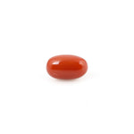 Red Coral - 4.07 Carat - Pramogh