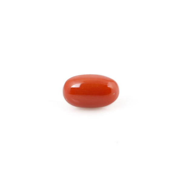 Red Coral - 4.07 Carat