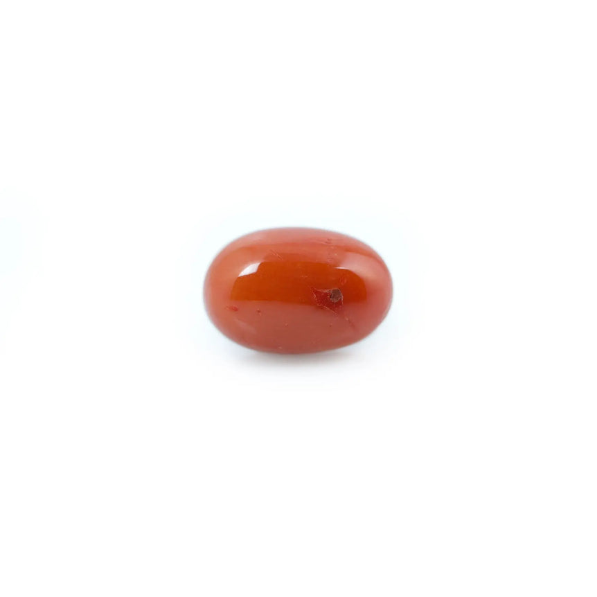 Red Coral - 4.66 Carat - Pramogh