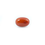 Red Coral - 4.66 Carat - Pramogh