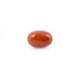Red Coral - 4.66 Carat - Pramogh