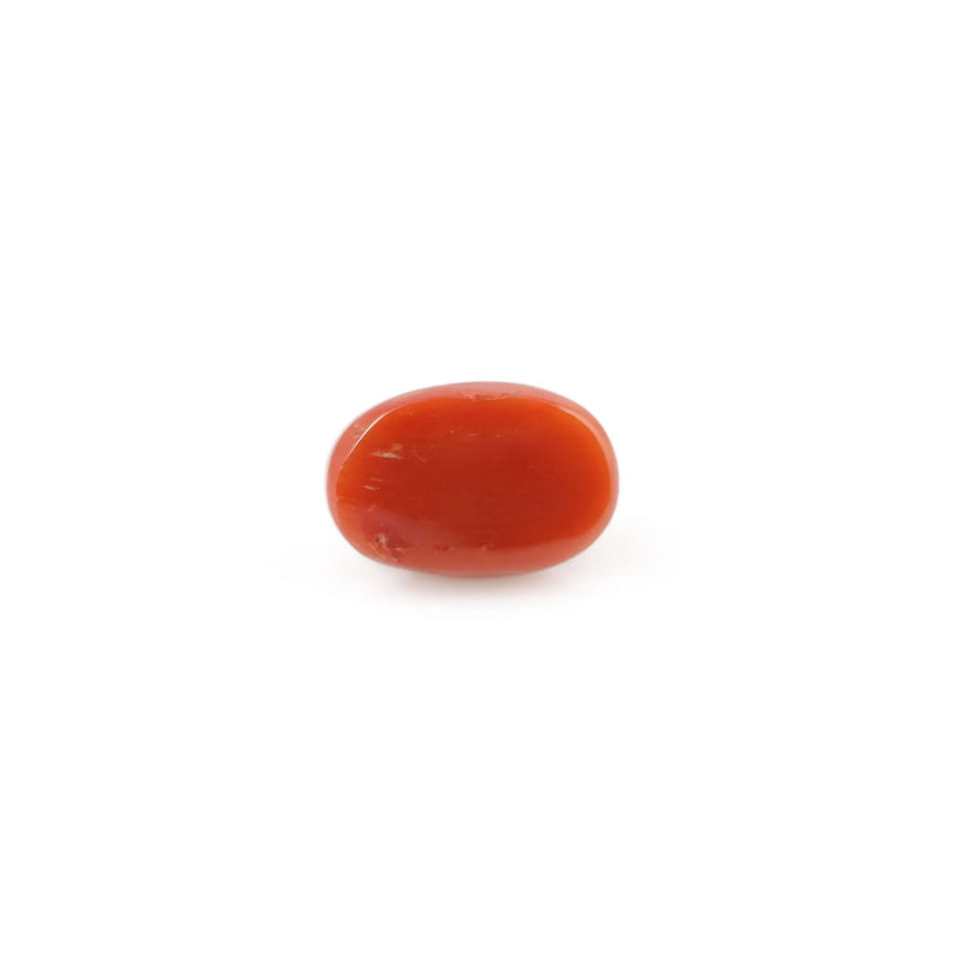 Red Coral - 4.66 Carat - Pramogh