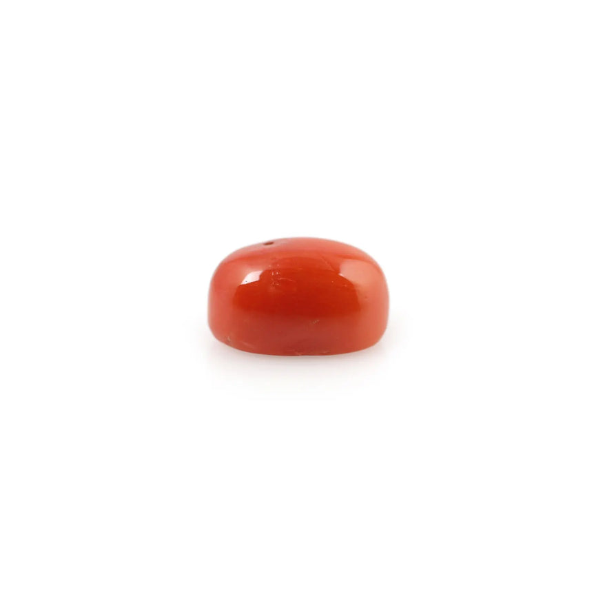 Red Coral - 4.66 Carat - Pramogh