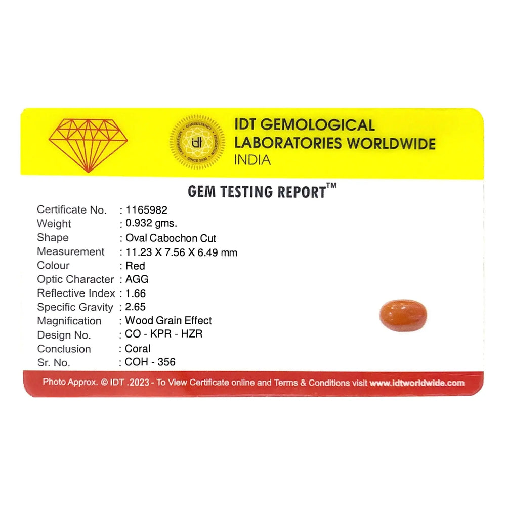Red Coral - 4.66 Carat - Pramogh