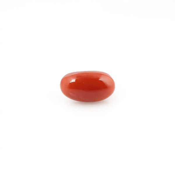 Red Coral - 5.83 Carat