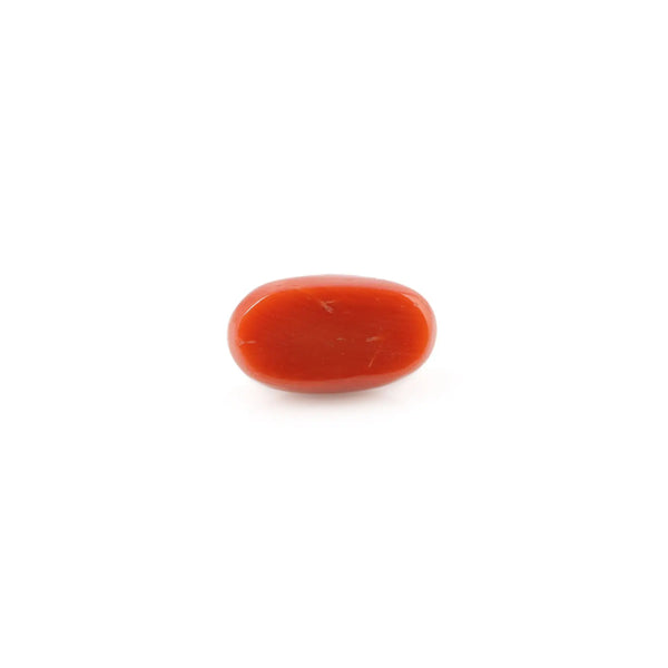 Red Coral - 5.83 Carat