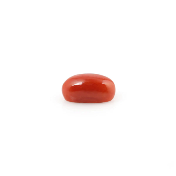 Red Coral - 5.83 Carat