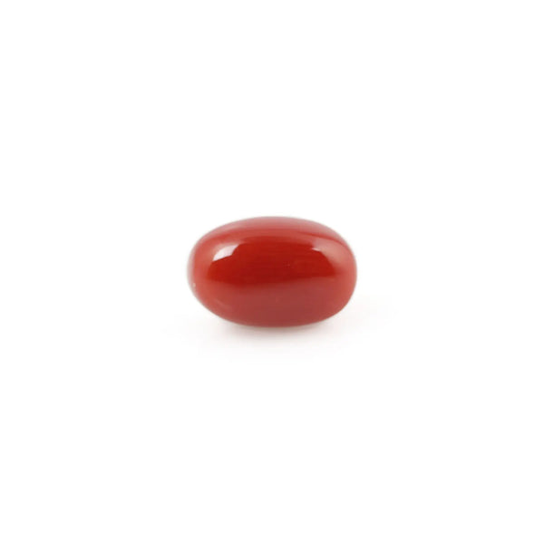 Red Coral - 4.8 Carat