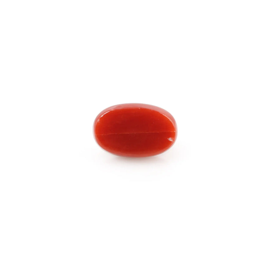 Red Coral - 4.8 Carat - Pramogh