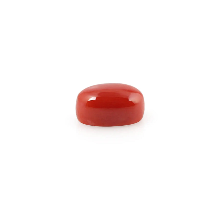 Red Coral - 4.8 Carat - Pramogh