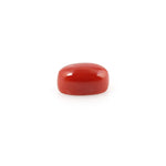 Red Coral - 4.8 Carat - Pramogh