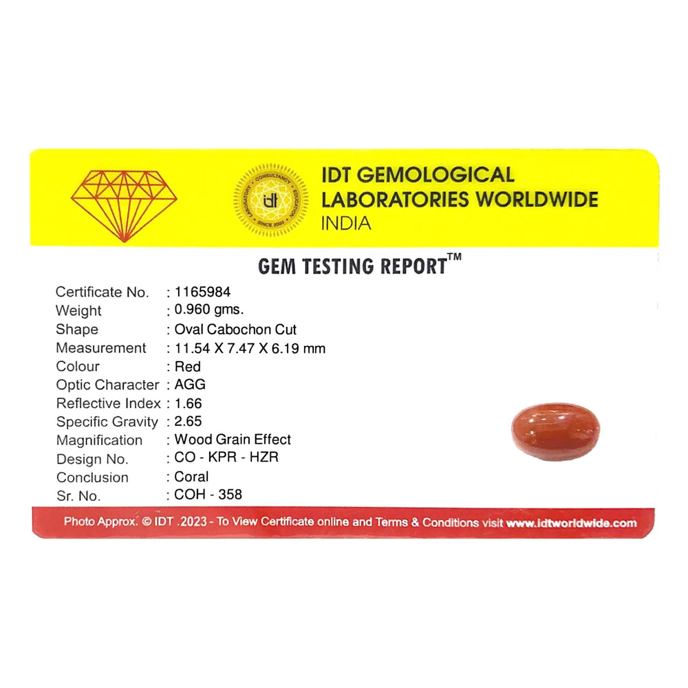 Red Coral - 4.8 Carat - Pramogh