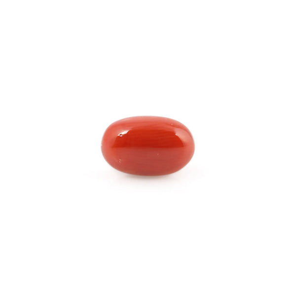 Red Coral - 4.51 Carat