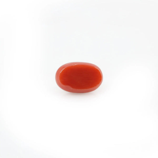 Red Coral - 4.51 Carat