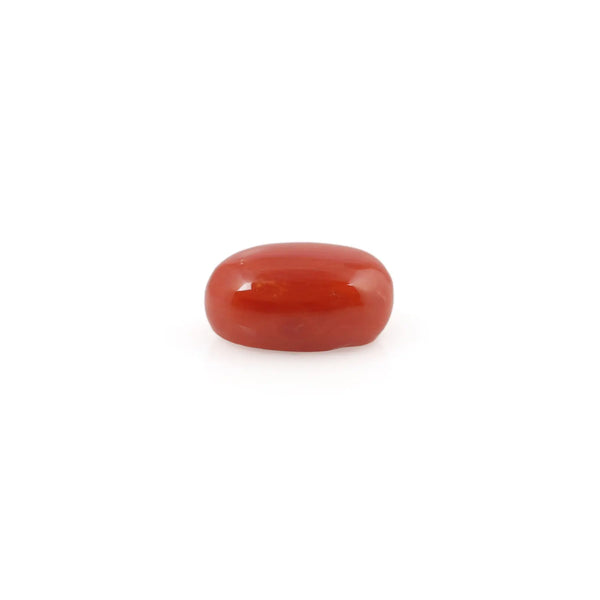 Red Coral - 4.51 Carat