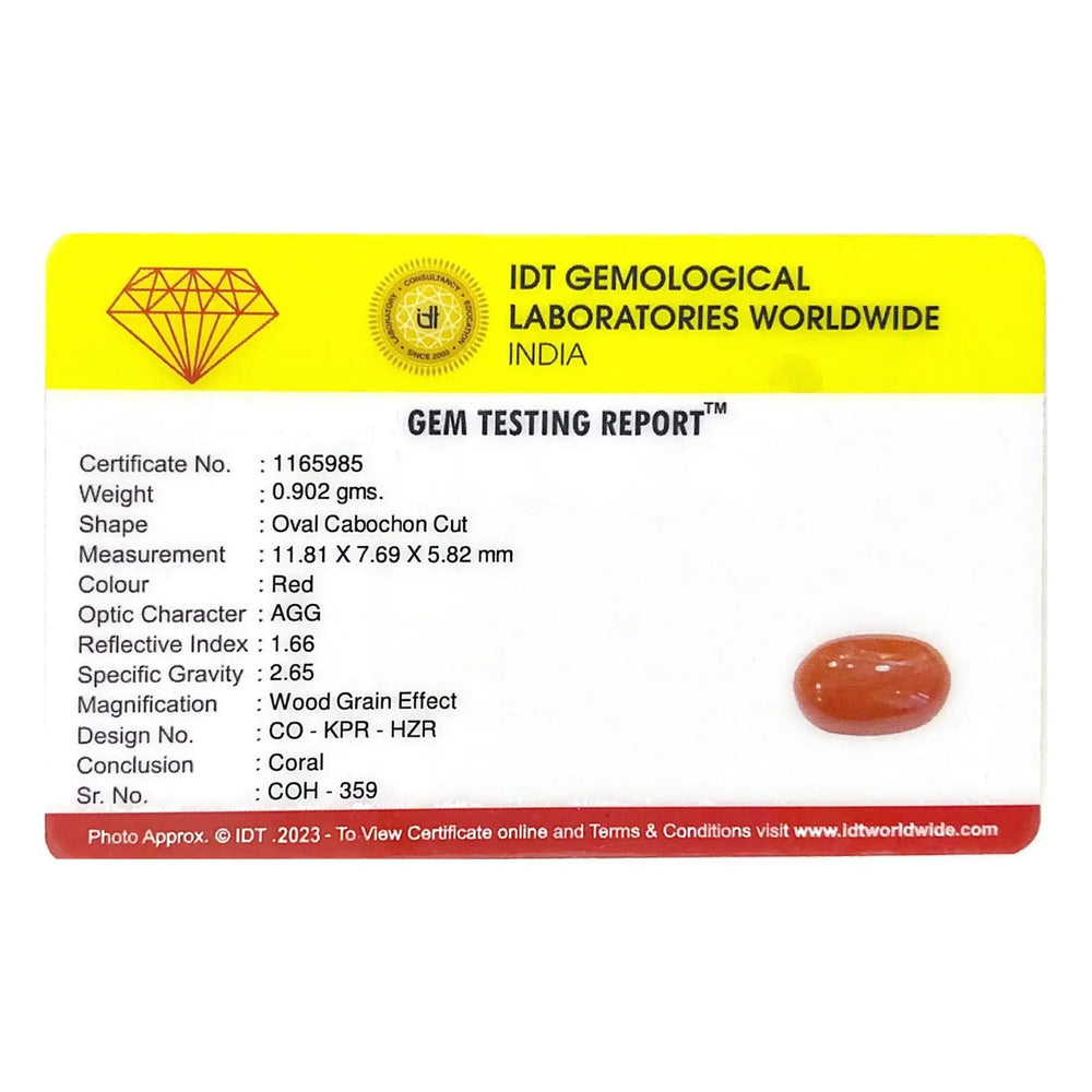 Red Coral - 4.51 Carat - Pramogh