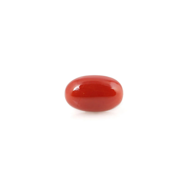 Red Coral - 4.32 Carat