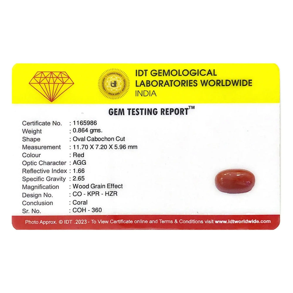 Red Coral - 4.32 Carat - Pramogh