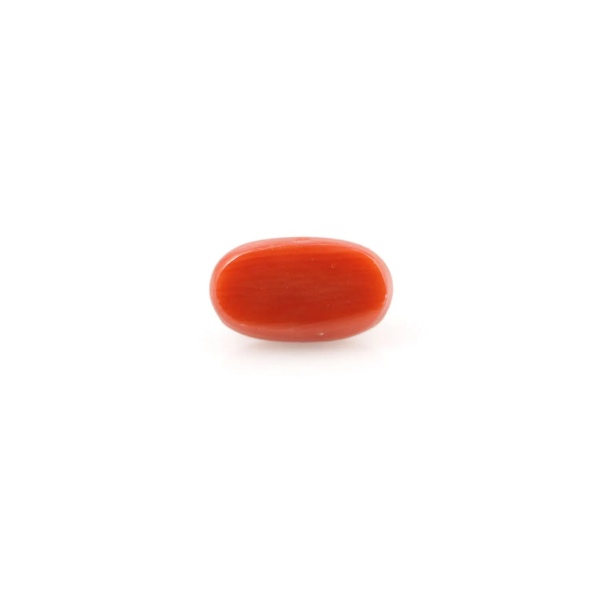 Red Coral - 4.2 Carat - Pramogh