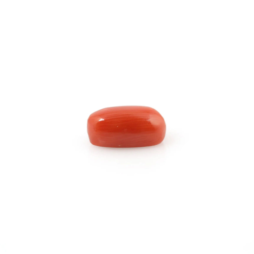 Red Coral - 4.2 Carat - Pramogh