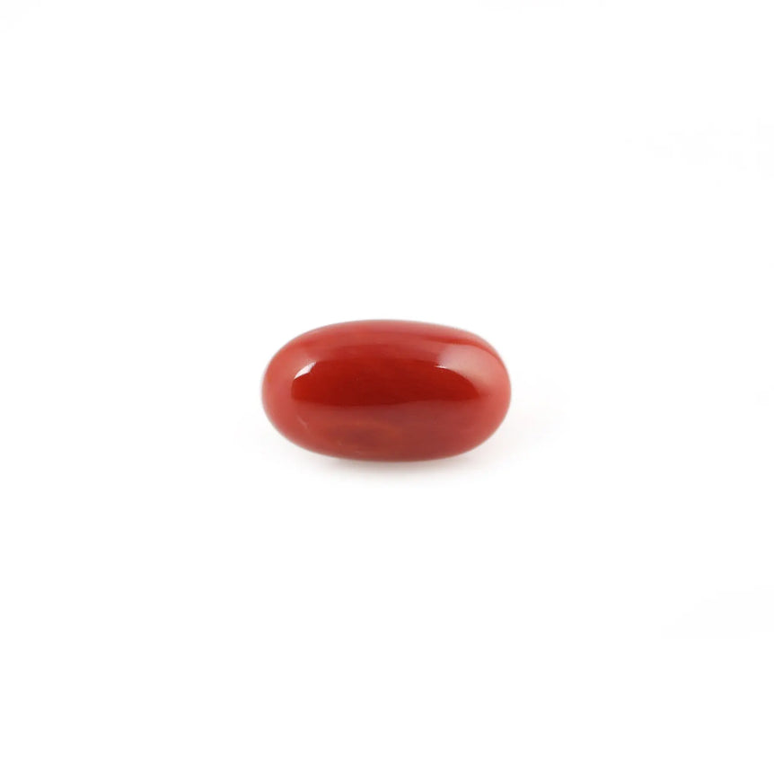 Red Coral - 4.41 Carat - Pramogh