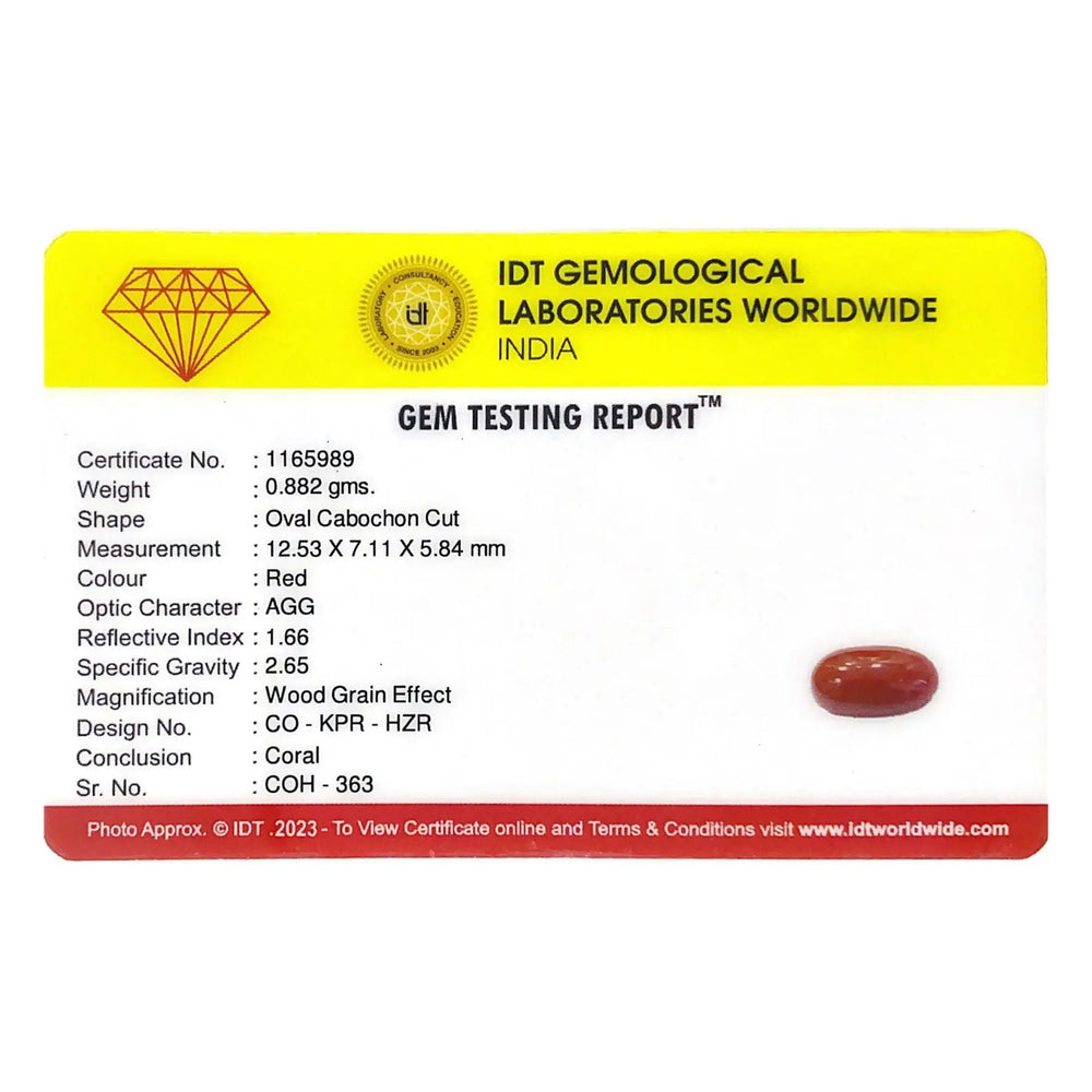 Red Coral - 4.41 Carat - Pramogh