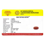Red Coral - 4.41 Carat - Pramogh