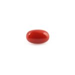 Red Coral - 4.44 Carat - Pramogh