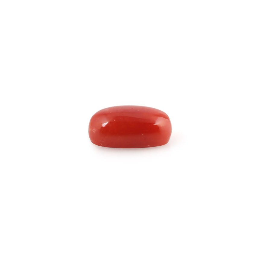 Red Coral - 4.44 Carat - Pramogh