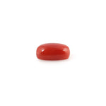 Red Coral - 4.44 Carat - Pramogh