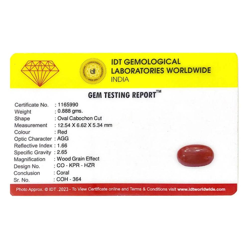 Red Coral - 4.44 Carat - Pramogh