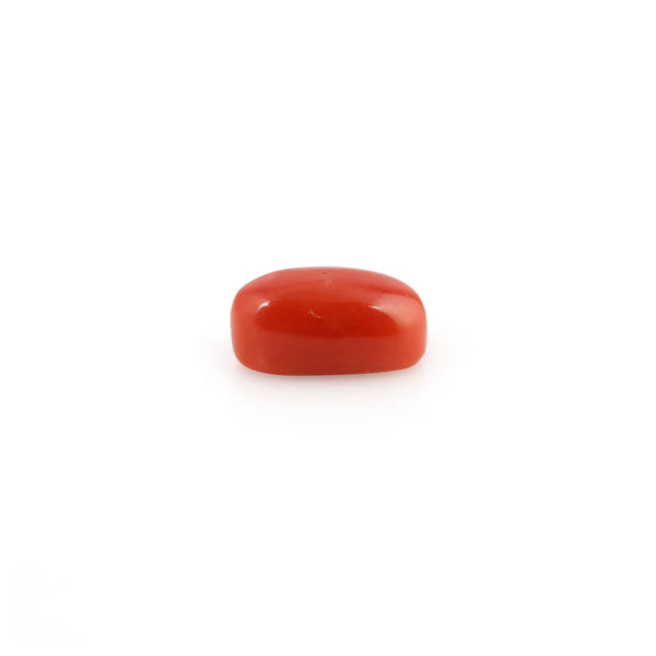 Red Coral - 4.61 Carat