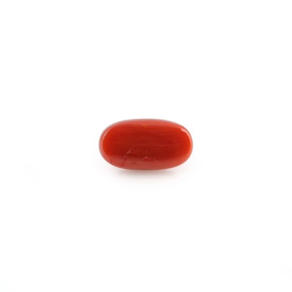 Red Coral - 4.02 Carat