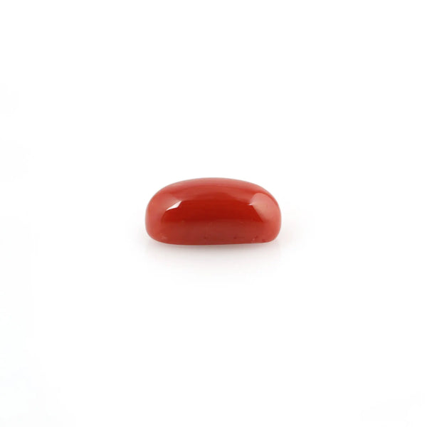 Red Coral - 4.02 Carat