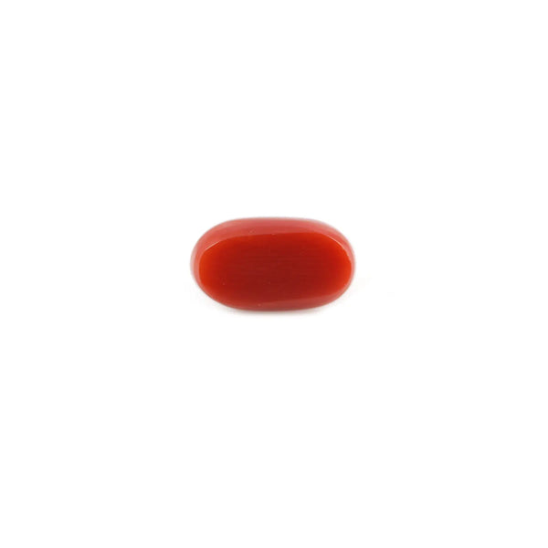 Red Coral - 4.42 Carat