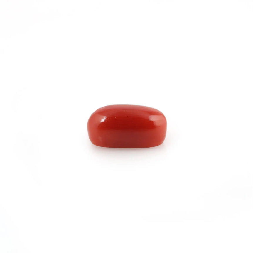 Red Coral - 4.42 Carat - Pramogh