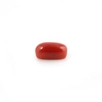 Red Coral - 4.42 Carat - Pramogh