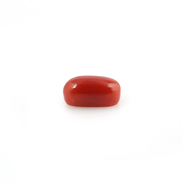 Red Coral - 4.42 Carat