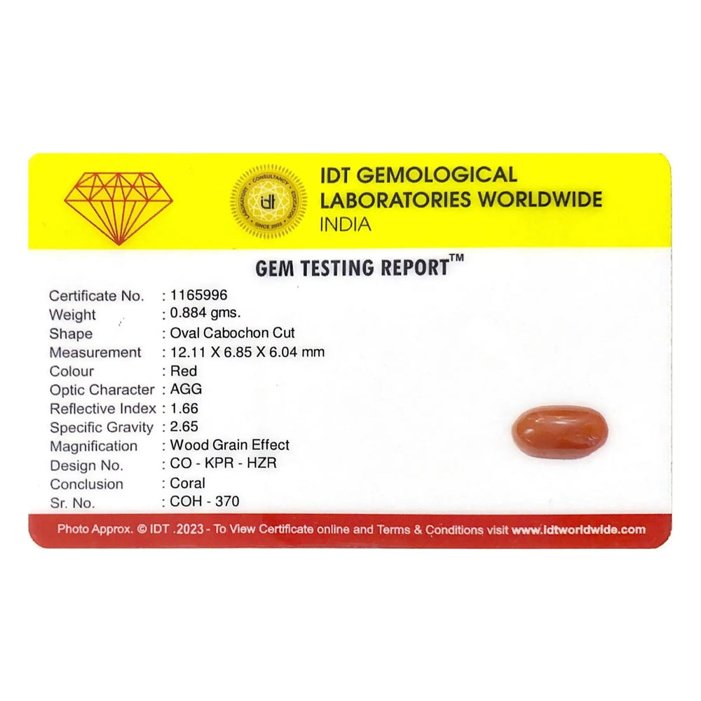 Red Coral - 4.42 Carat - Pramogh