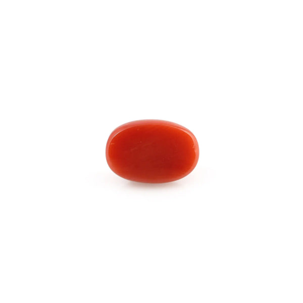 Red Coral - 4.2 Carat