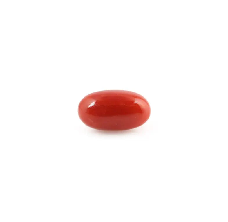 Red Coral - 5.02 Carat - Pramogh