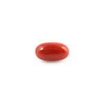 Red Coral - 5.02 Carat - Pramogh
