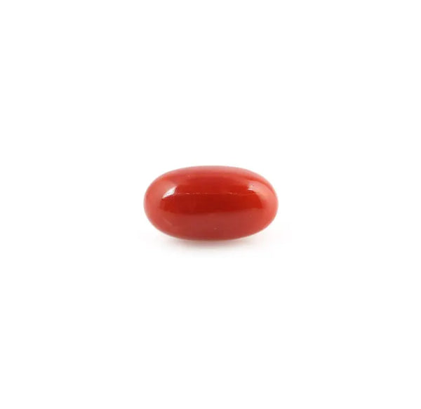 Red Coral - 5.02 Carat