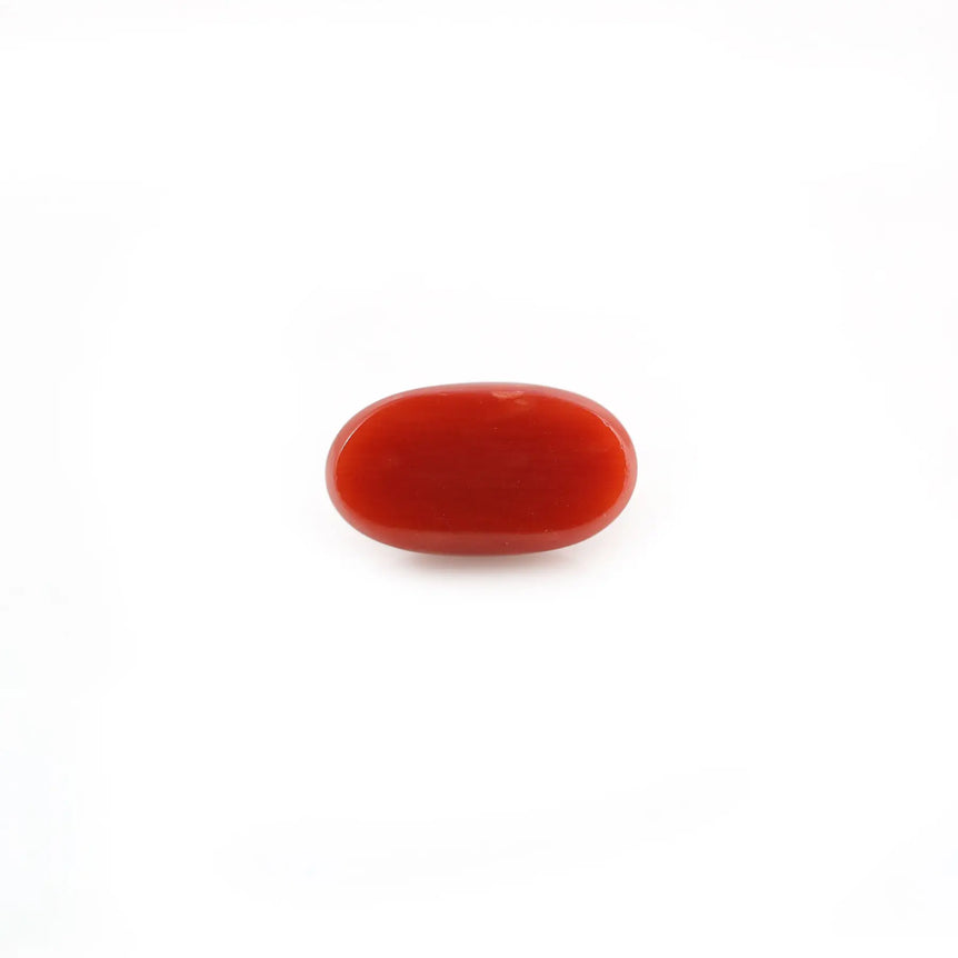 Red Coral - 5.02 Carat - Pramogh